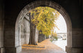 Autumn Stroll on The Seine